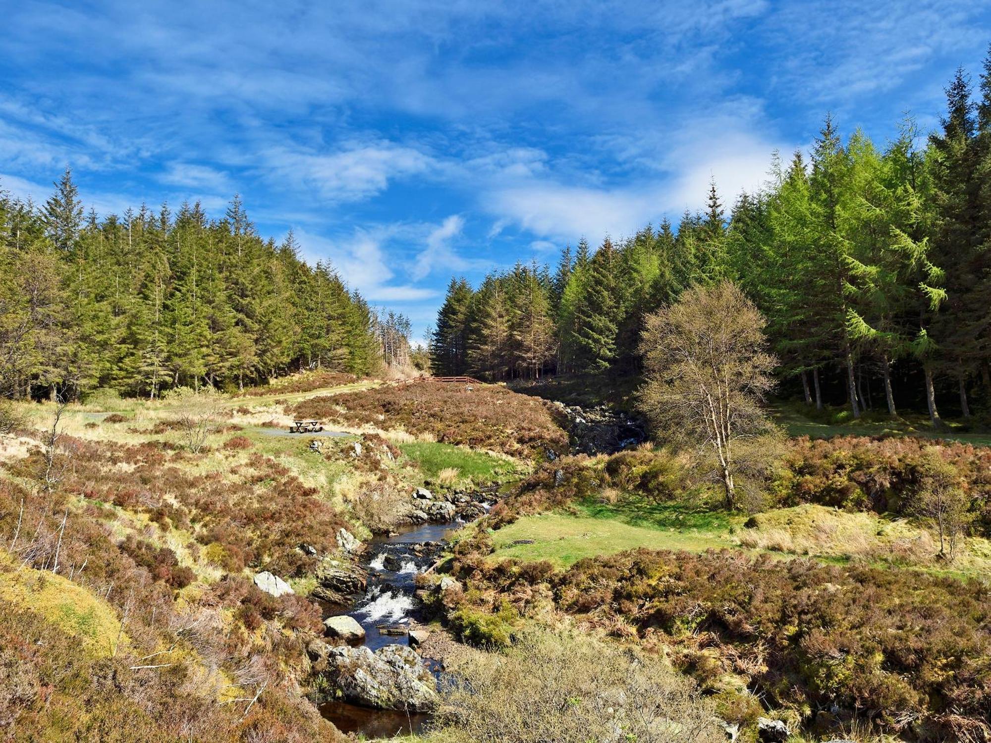 Wylies Brae Villa New Galloway Екстериор снимка